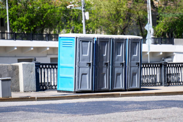 Best Sanitation services for porta potties  in Lake Erie Beach, NY